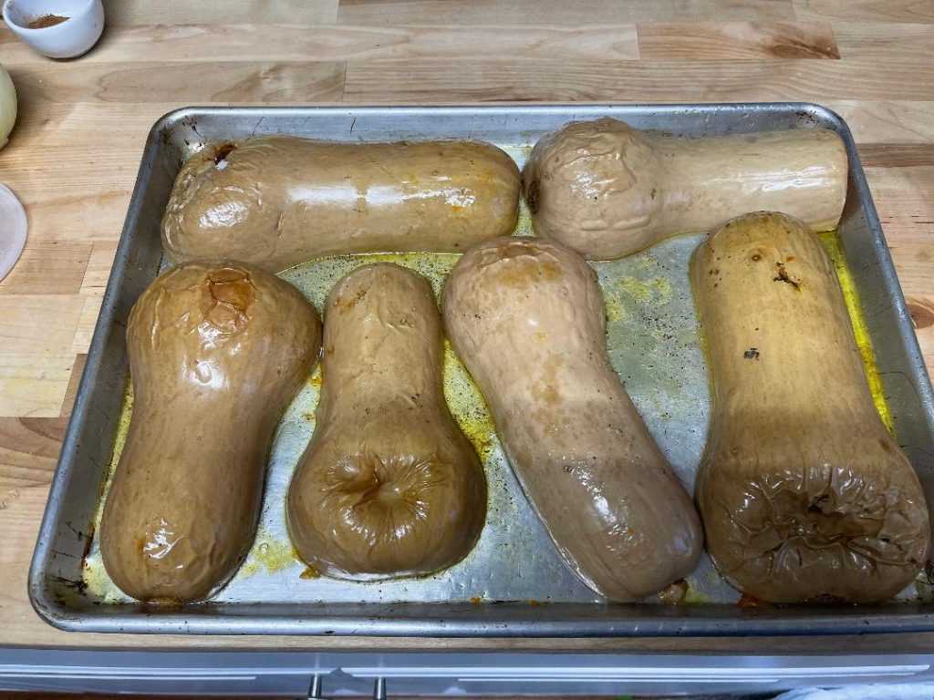 Butternut Squash