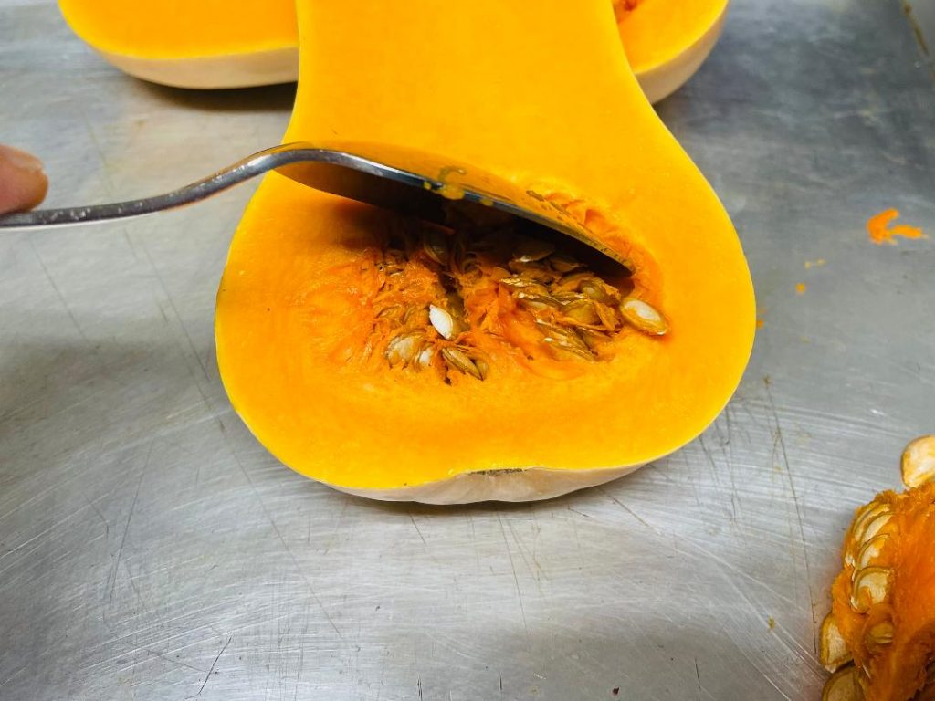 Butternut Squash